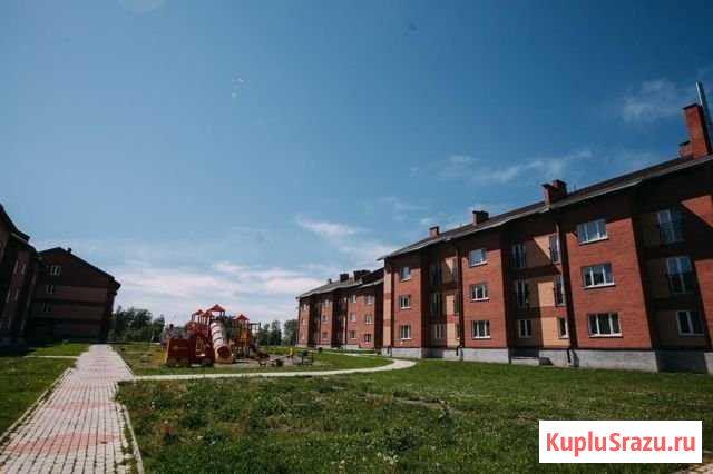 1-комнатная квартира, 39.1 м², 2/3 эт. на продажу в Новосибирске Новосибирск - изображение 2