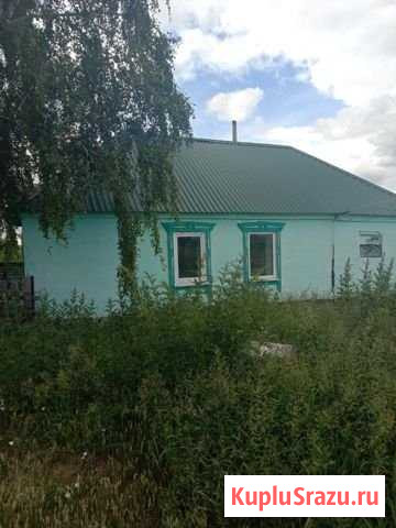Дом 30 м² на участке 30 сот. на продажу в Калманке Калманка - изображение 3