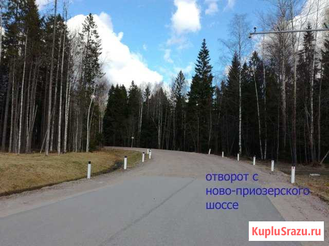 Участок СНТ, ДНП 12 сот. на продажу в Агалатово Агалатово - изображение 2