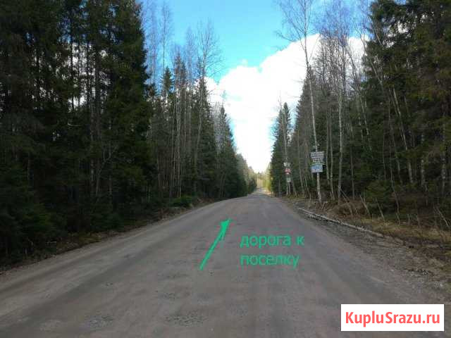 Участок СНТ, ДНП 12 сот. на продажу в Агалатово Агалатово - изображение 3