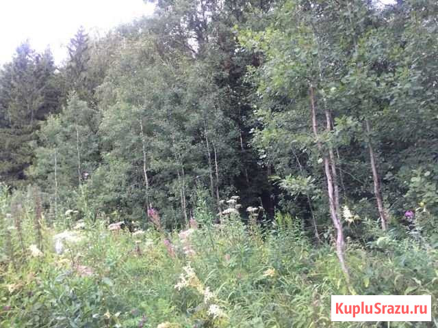 Участок СНТ, ДНП 201 сот. на продажу в Наро-Фоминске Наро-Фоминск - изображение 1