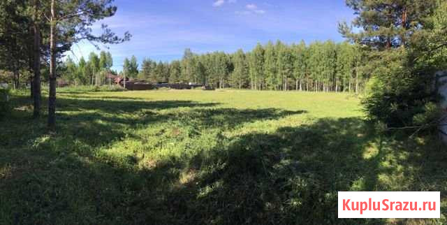 Участок ИЖС 25 сот. на продажу в Бору Бор - изображение 2