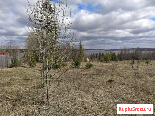Участок СНТ, ДНП 5 сот. на продажу в Перми Пермь - изображение 3