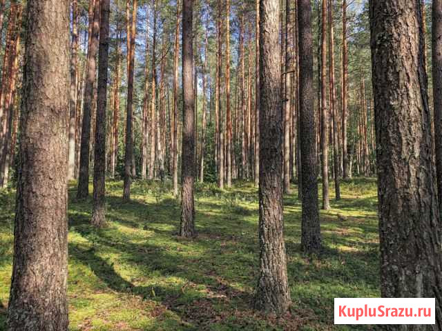 Участок ИЖС 15 сот. на продажу в Серпухове Серпухов - изображение 2