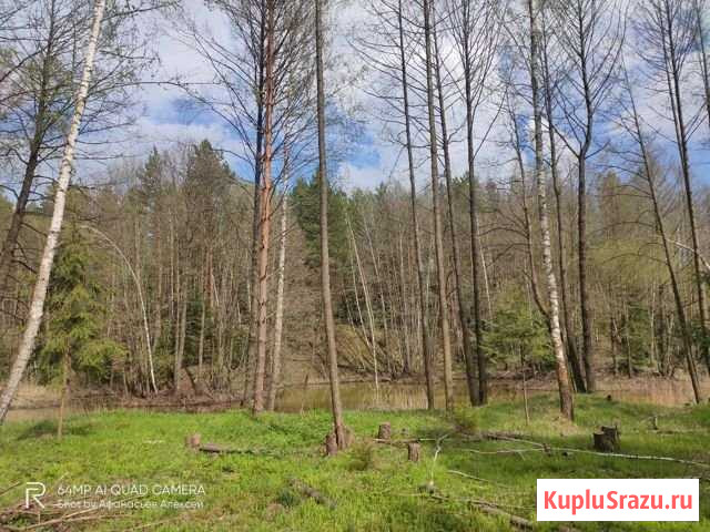 Участок ИЖС 6 сот. на продажу в Хорлово Хорлово - изображение 1
