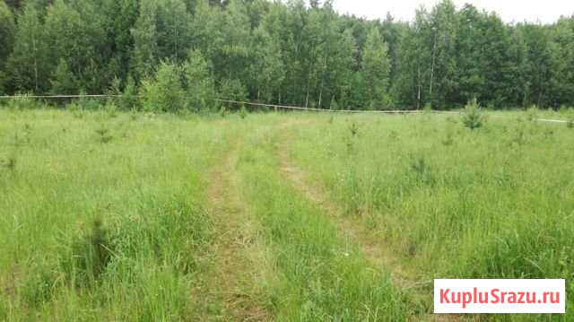 Участок ИЖС 15 сот. на продажу в Ногинске Ногинск - изображение 2