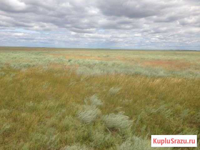 Участок СНТ, ДНП 7418 сот. на продажу в Палласовке Палласовка - изображение 1