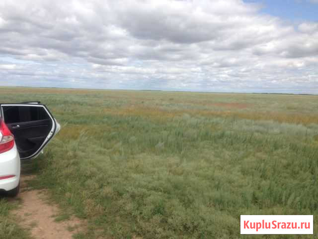 Участок СНТ, ДНП 7418 сот. на продажу в Палласовке Палласовка - изображение 2