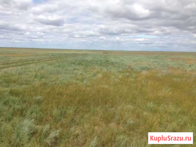 Участок СНТ, ДНП 7418 сот. на продажу в Палласовке Палласовка - изображение 3