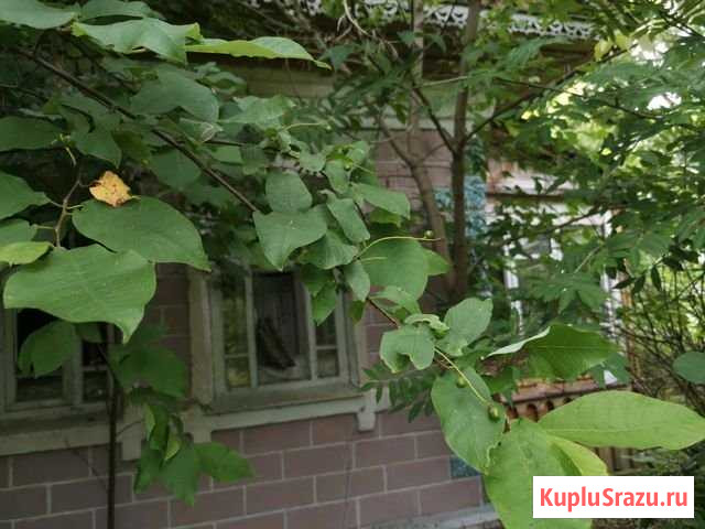 Дом 25 м² на участке 15 сот. на продажу в Новописцово Новописцово - изображение 1