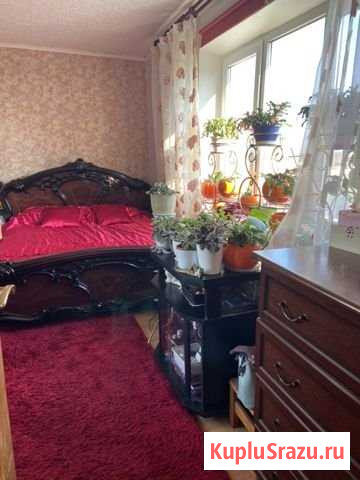 3-комнатная квартира, 53.7 м², 2/2 эт. на продажу в Калининграде Калининград - изображение 2