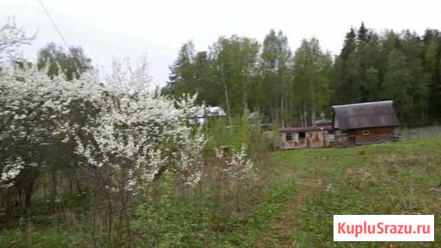 Участок ИЖС 15 сот. на продажу в Лежнево Лежнево - изображение 1