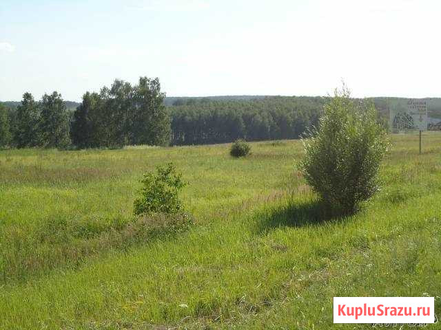 Участок СНТ, ДНП 230 сот. на продажу в Богородске Богородск - изображение 3