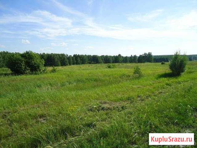 Участок СНТ, ДНП 230 сот. на продажу в Богородске Богородск - изображение 2