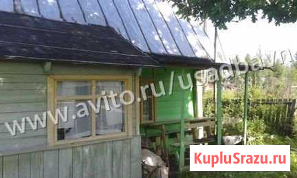 Дача 35 м² на участке 13 сот. на продажу в Великом Новгороде Великий Новгород - изображение 3