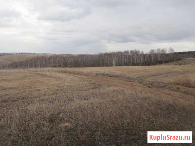Участок СНТ, ДНП 8 сот. на продажу в Красноярске Красноярск - изображение 1