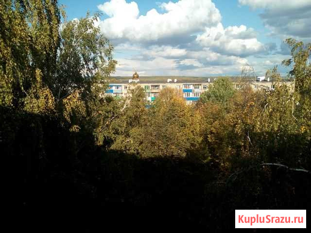 3-комнатная квартира, 60.4 м², 5/5 эт. на продажу в Каменке Пензенской области Каменка - изображение 3