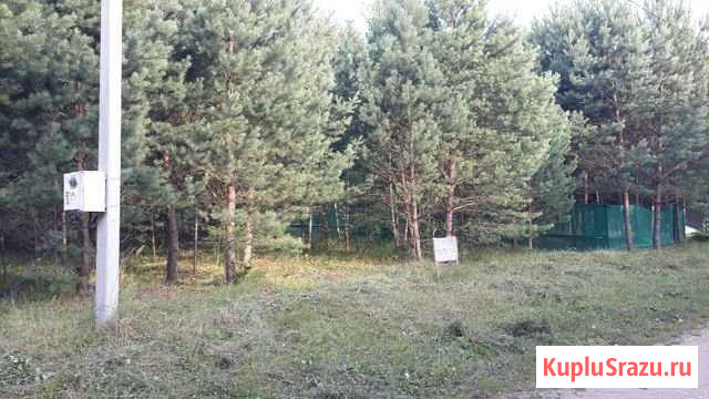 Участок СНТ, ДНП 10 сот. на продажу в Тарусе Таруса - изображение 1