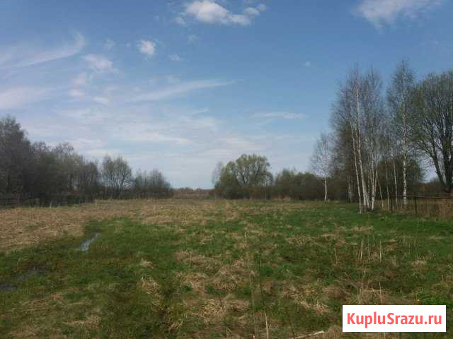 Участок ИЖС 32 сот. на продажу в Кашине Кашин - изображение 1