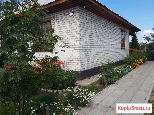 Дом 75.9 м² на участке 15.5 сот. на продажу в Кулунде Кулунда - изображение 2