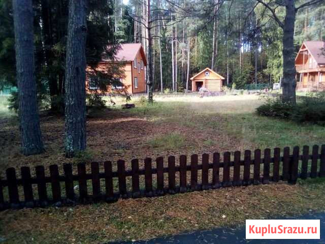 Участок СНТ, ДНП 10 сот. на продажу в Городце Городец - изображение 2