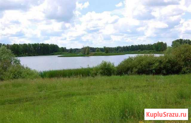 Участок ИЖС 117 сот. на продажу в Екатеринбурге Екатеринбург - изображение 1