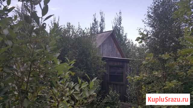 Дача 30 м² на участке 10 сот. на продажу в Каменске Каменск - изображение 3