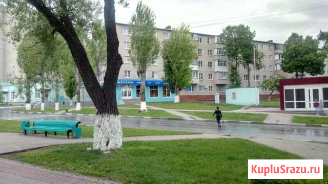 Торговое помещение, 36 кв.м. Губкин - изображение 2