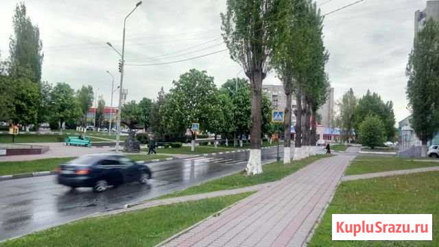 Торговое помещение, 36 кв.м. Губкин - изображение 3