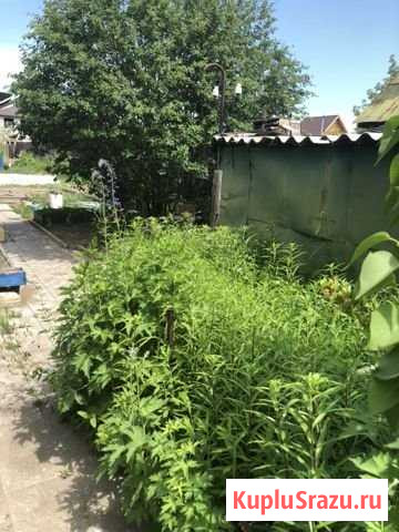 Дача 30 м² на участке 6 сот. на продажу в Улан-Удэ Улан-Удэ - изображение 3