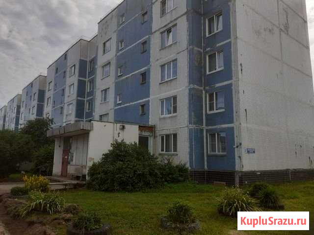 1-комнатная квартира, 38.2 м², 1/5 эт. на продажу в Новопетровском Новопетровское - изображение 1