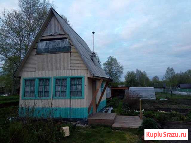 Дача 30 м² на участке 6 сот. на продажу в Ухте Ухта - изображение 2