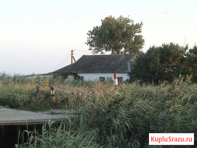 Дом 45 м² на участке 12 сот. на продажу в Анастасиевской Анастасиевская - изображение 1