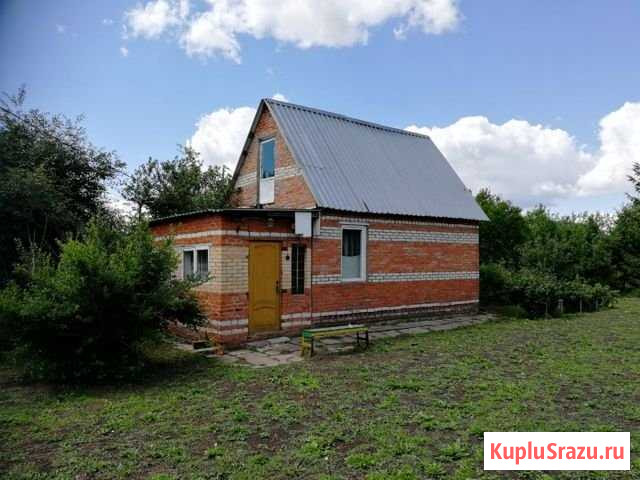 Дача 42 м² на участке 10 сот. на продажу в Луховицах Луховицы - изображение 1