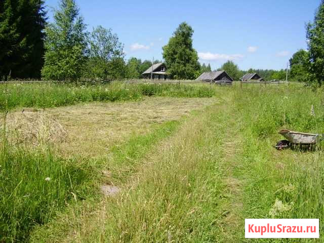 Участок ИЖС 25 сот. на продажу в Селижарово Селижарово - изображение 3