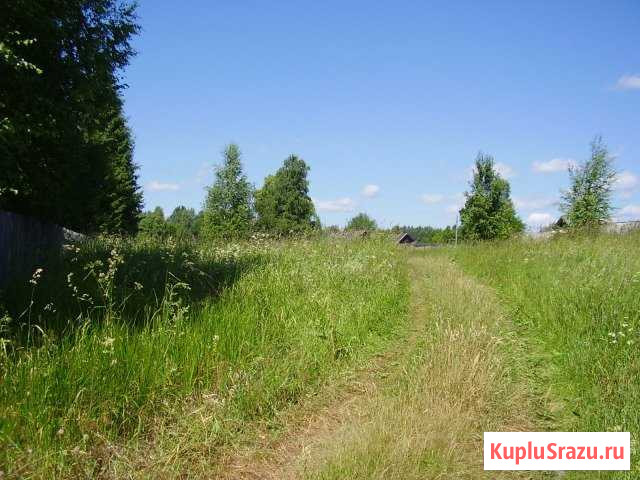 Участок ИЖС 25 сот. на продажу в Селижарово Селижарово - изображение 1