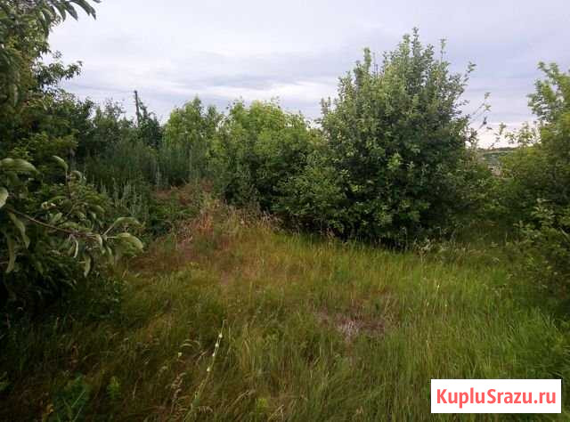 Участок СНТ, ДНП 9 сот. на продажу в Урюпинске Урюпинск - изображение 1