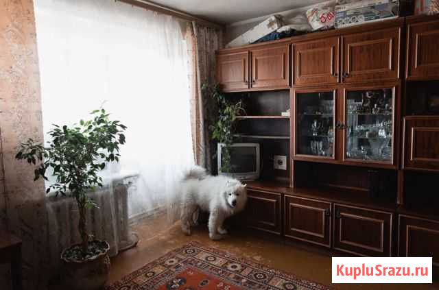 4-комнатная квартира, 74.4 м², 5/5 эт. на продажу в Кременках Кременки - изображение 3
