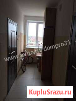 Квартира-студия, 30.5 м², 2/3 эт. на продажу в Дубовом Дубовое - изображение 2