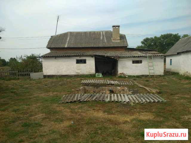 Дом 65 м² на участке 50 сот. на продажу в Плавице Плавица - изображение 2