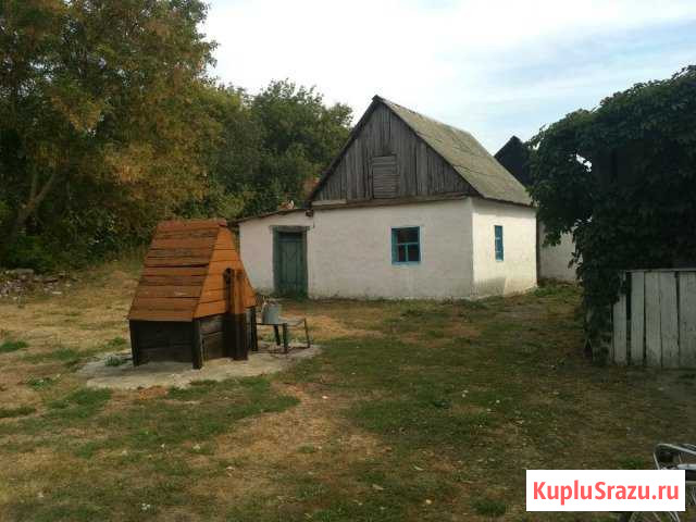 Дом 65 м² на участке 50 сот. на продажу в Плавице Плавица - изображение 3