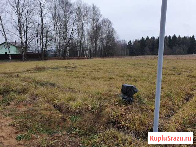 Участок СНТ, ДНП 18 сот. на продажу в Пролетарском Московской области Пролетарский - изображение 3