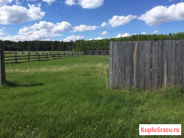 Участок СНТ, ДНП 28 сот. на продажу в Ордынском Ордынское - изображение 2