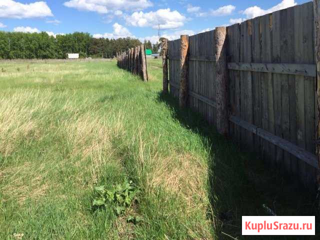 Участок СНТ, ДНП 28 сот. на продажу в Ордынском Ордынское - изображение 3