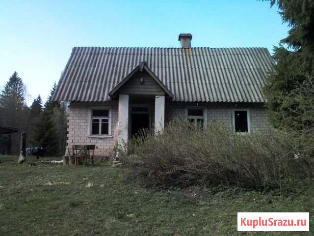 Дом 40 м² на участке 100 сот. на продажу в Печорах Печоры - изображение 2