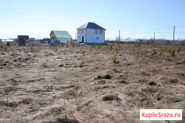 Участок ИЖС 24 сот. на продажу в Богандинском Богандинский - изображение 1