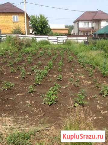Участок СНТ, ДНП 6 сот. на продажу в Маркове Маркова - изображение 1