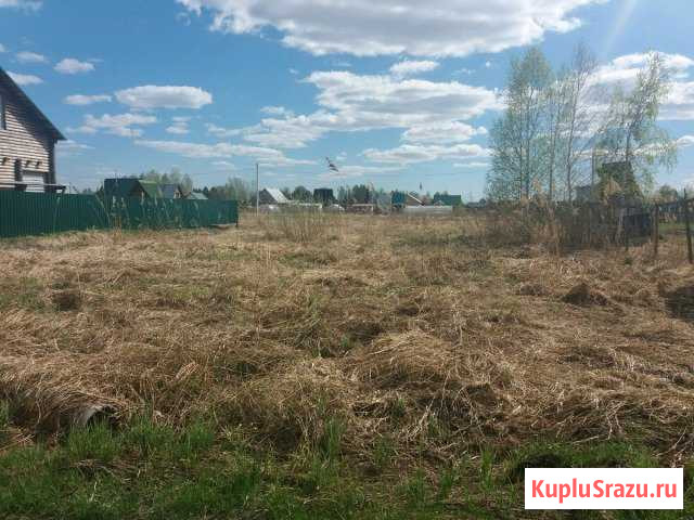 Участок СНТ, ДНП 12 сот. на продажу в Новосибирске Новосибирск - изображение 3