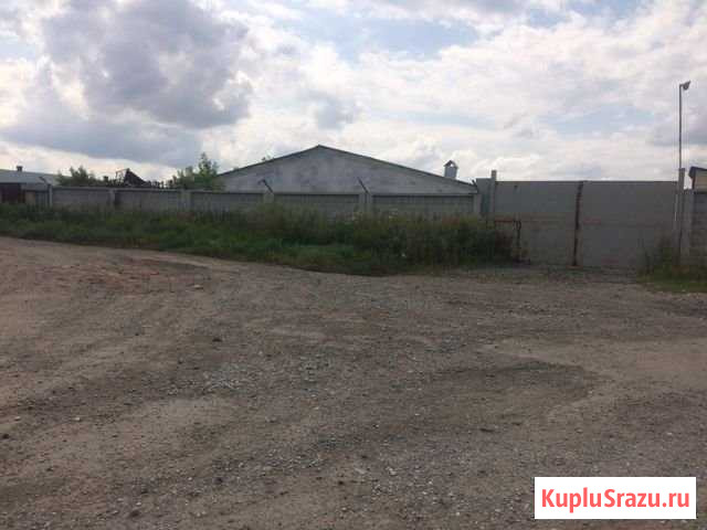 Участок промназначения 164 сот. на продажу в Толмачево Новосибирской области Толмачево - изображение 1