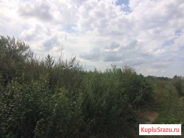 Участок промназначения 164 сот. на продажу в Толмачево Новосибирской области Толмачево - изображение 3
